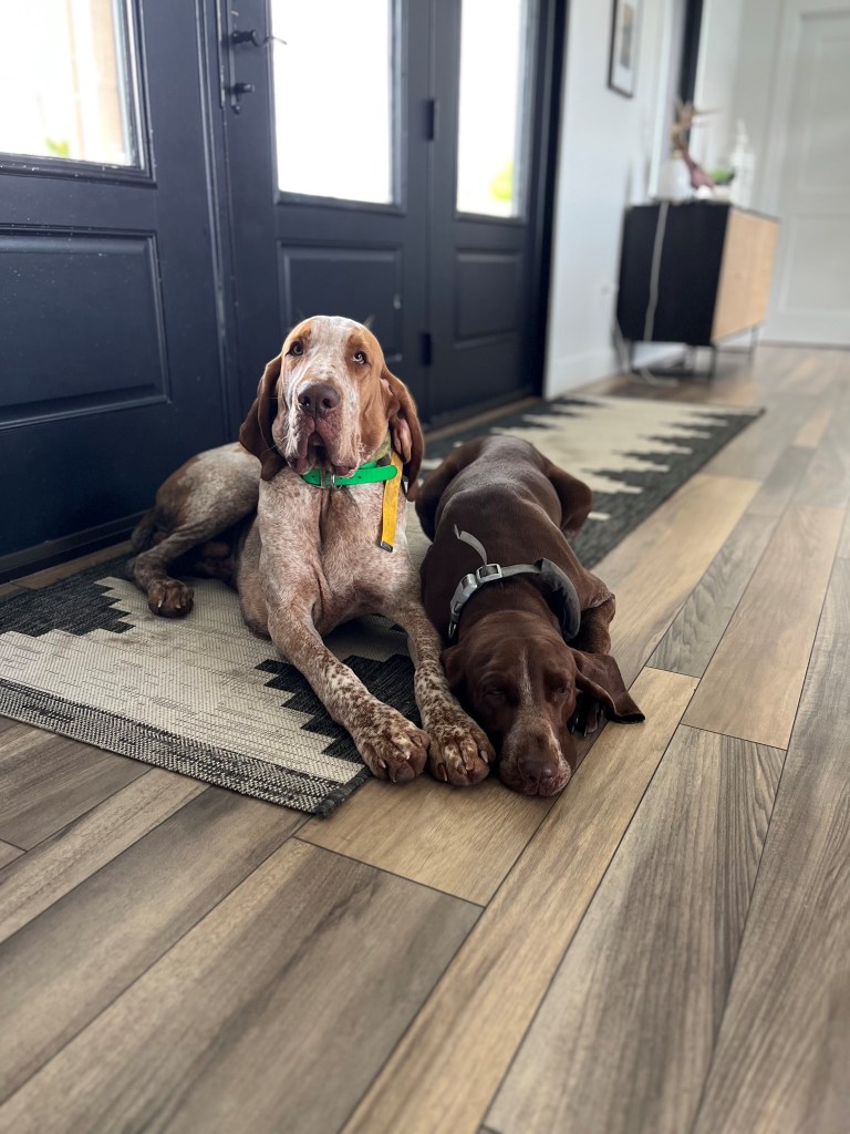 Ezno - Letf Mia - Right